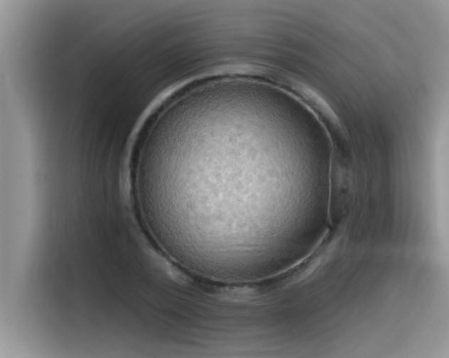 X0000114550784200910191410
