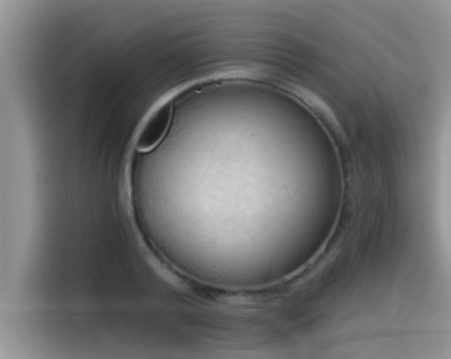 X0000114550792200910191410