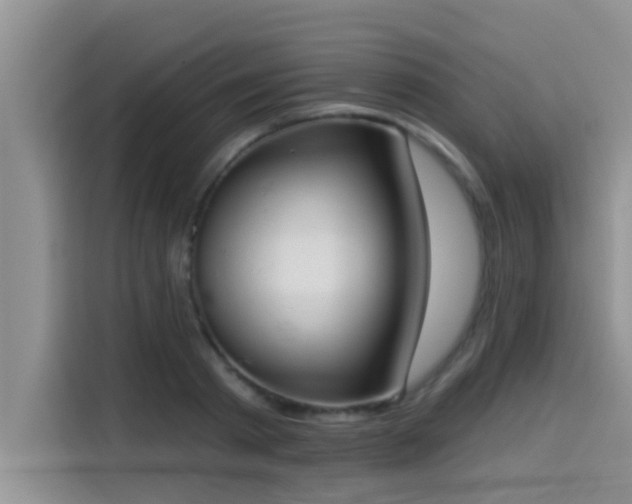 X0000114550793200910191410