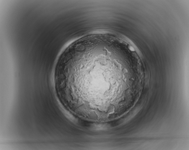 X0000114550795200910191410
