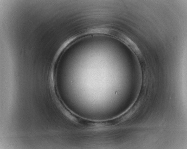 X0000114550796200910191410