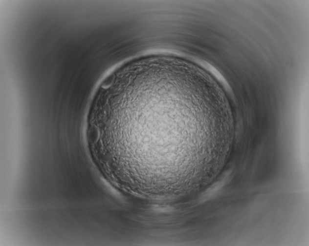 X0000114550799200910191410