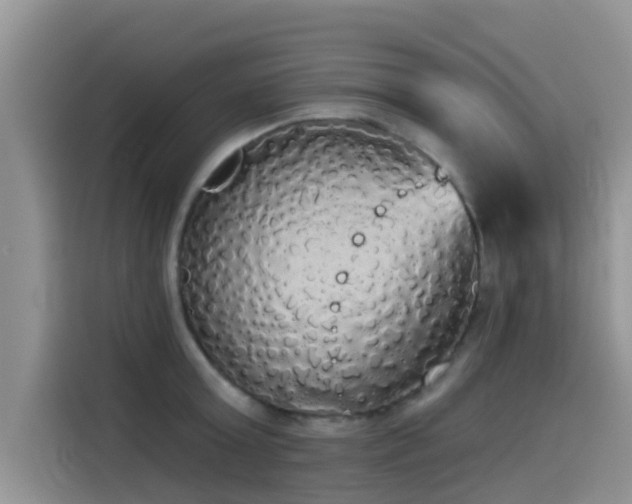 X0000114550803200910191410