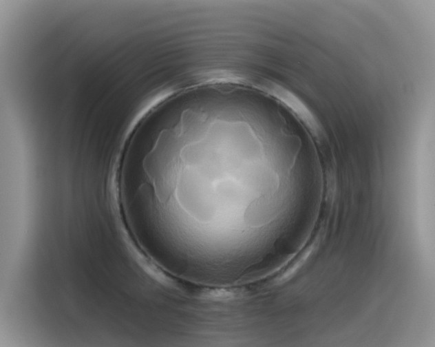 X0000114550806200910191410