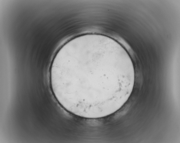 X0000114550807200910191410