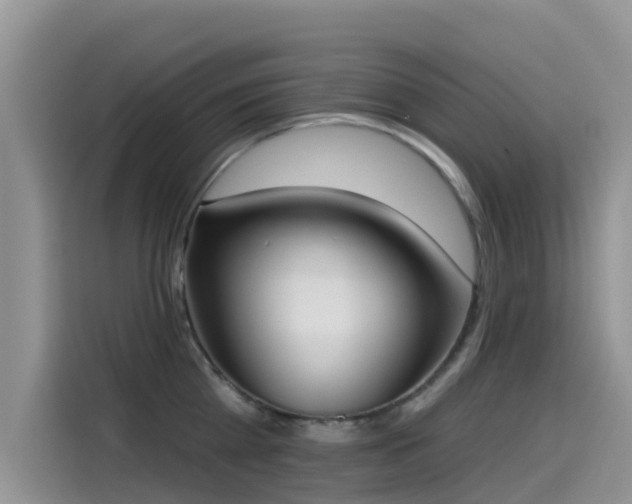 X0000114550809200910191410