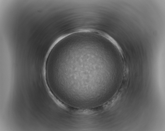 X0000114550811200910191410