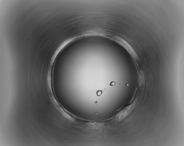 X0000114550812200910191410