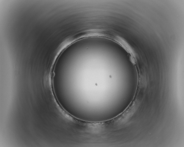X0000114550813200910191410