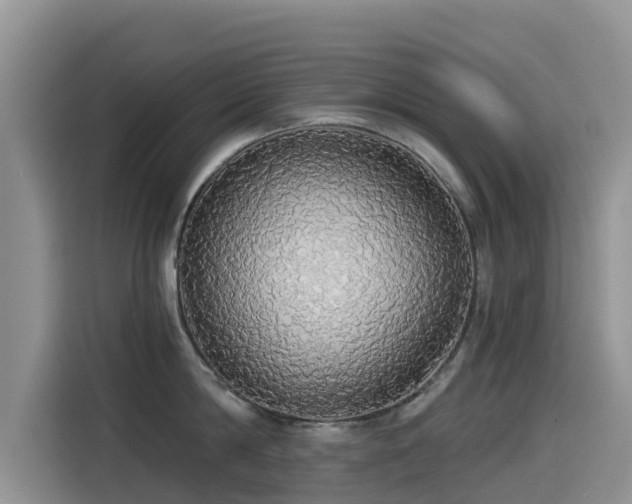 X0000114550814200910191410
