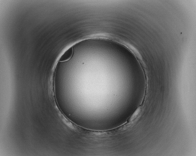 X0000114550816200910191410