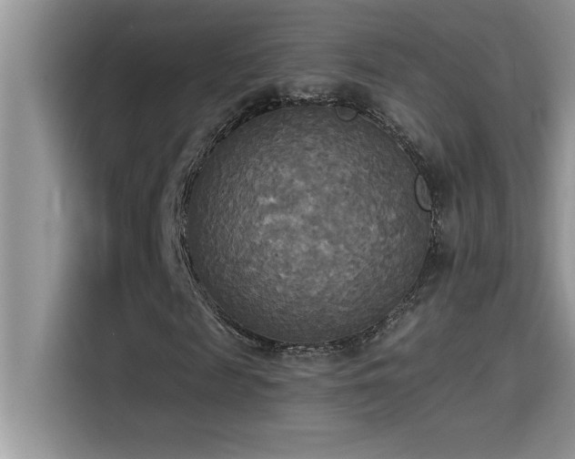 X0000114550817200910191409