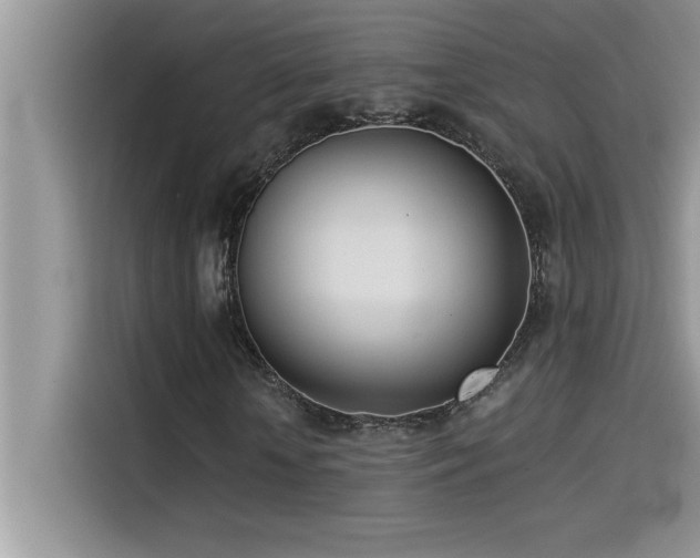 X0000114550818200910191409