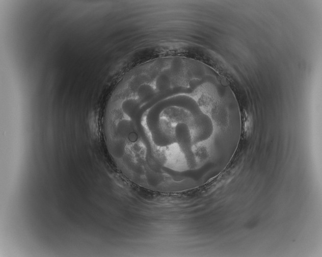 X0000114550819200910191409