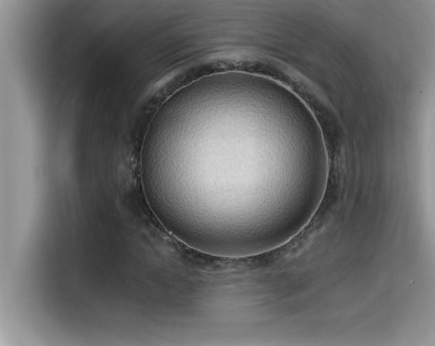 X0000114550822200910191409