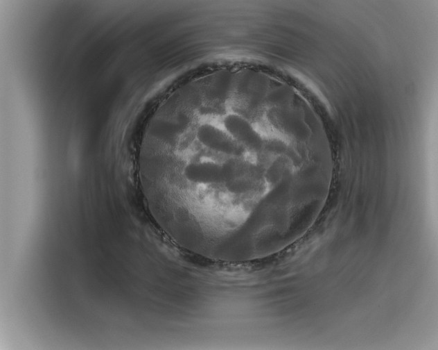 X0000114550823200910191409