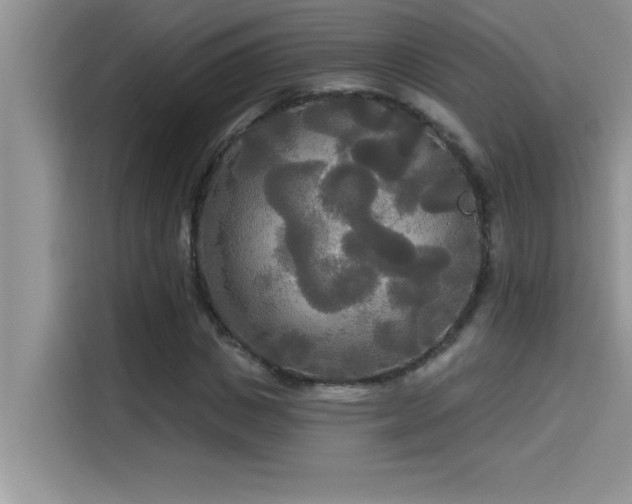X0000114550825200910191409