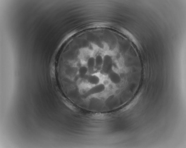 X0000114550827200910191409