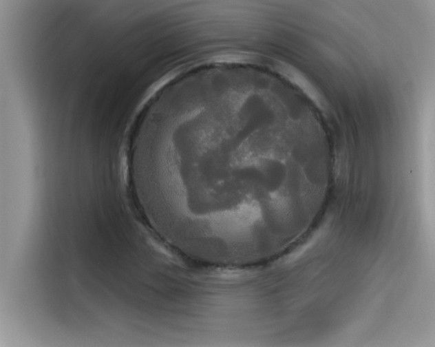 X0000114550829200910191409