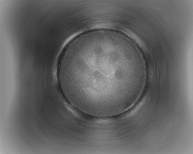 X0000114550830200910191409