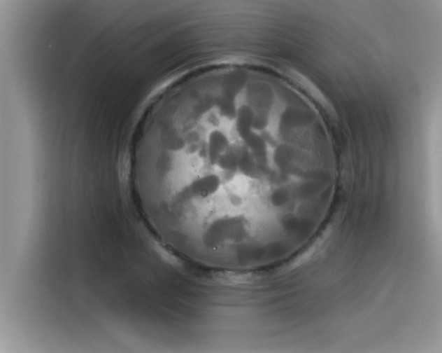 X0000114550831200910191409