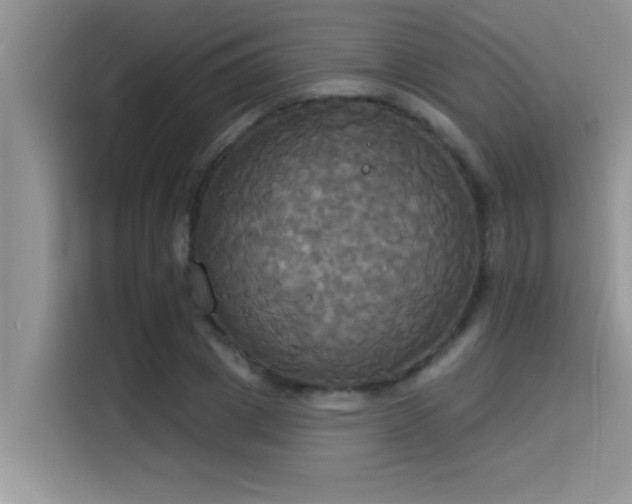 X0000114550833200910191409