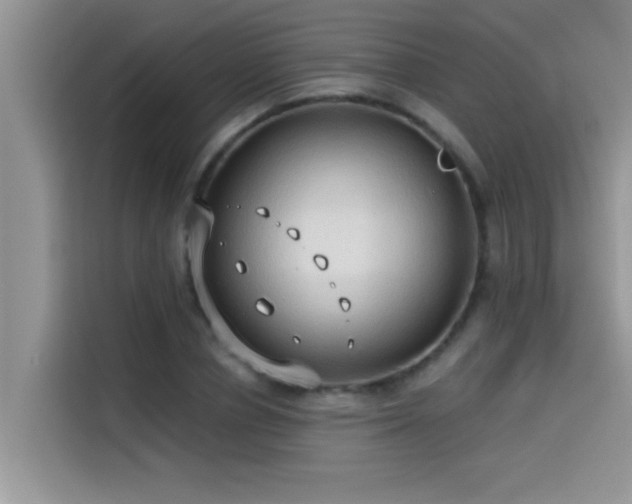 X0000114550834200910191409