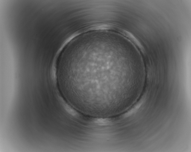 X0000114550835200910191409