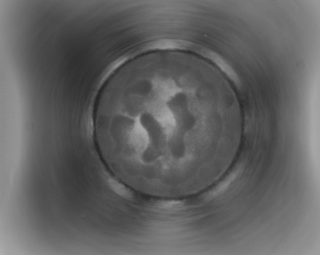 X0000114550837200910191409