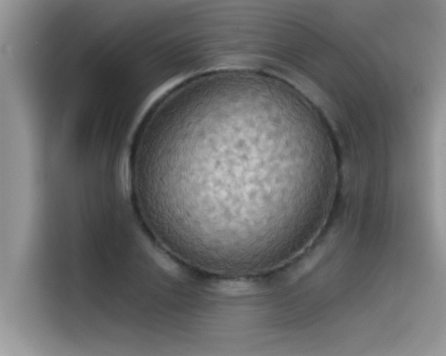 X0000114550838200910191409