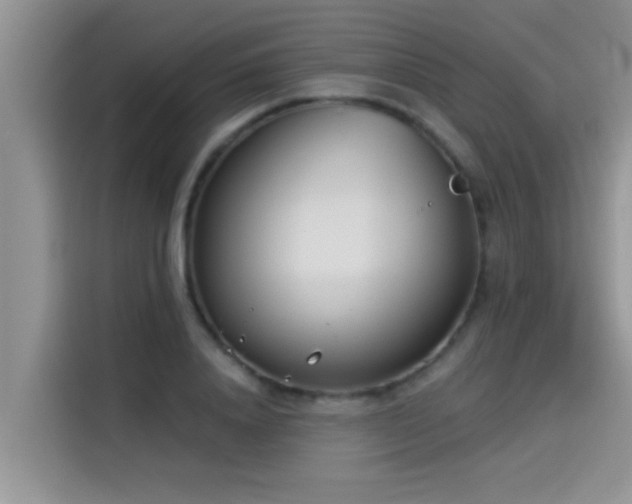 X0000114550840200910191409