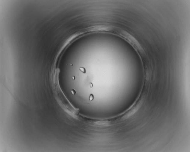 X0000114550844200910191410