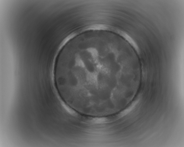 X0000114550845200910191410