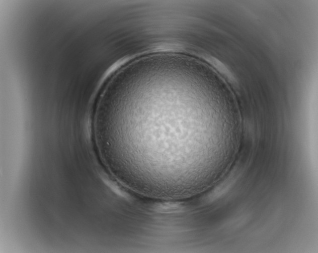 X0000114550846200910191410