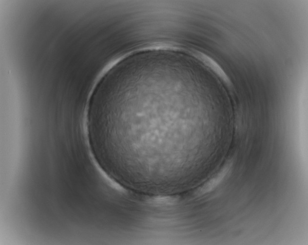 X0000114550847200910191410