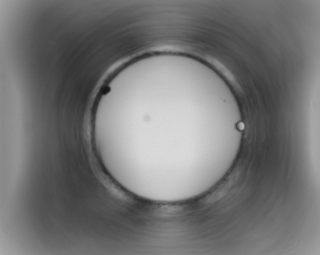 X0000114550848200910191410