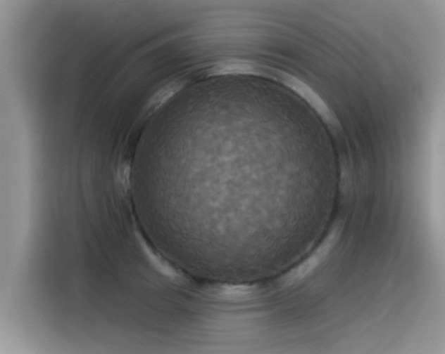 X0000114550849200910191410