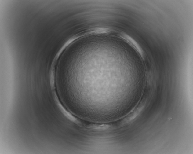 X0000114550851200910191410