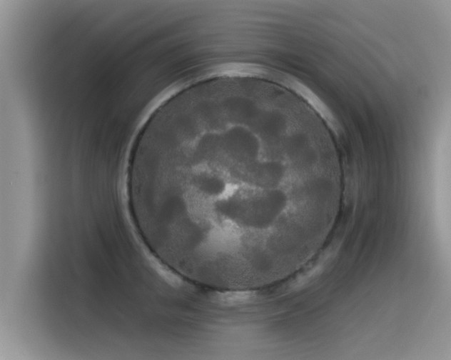 X0000114550853200910191410