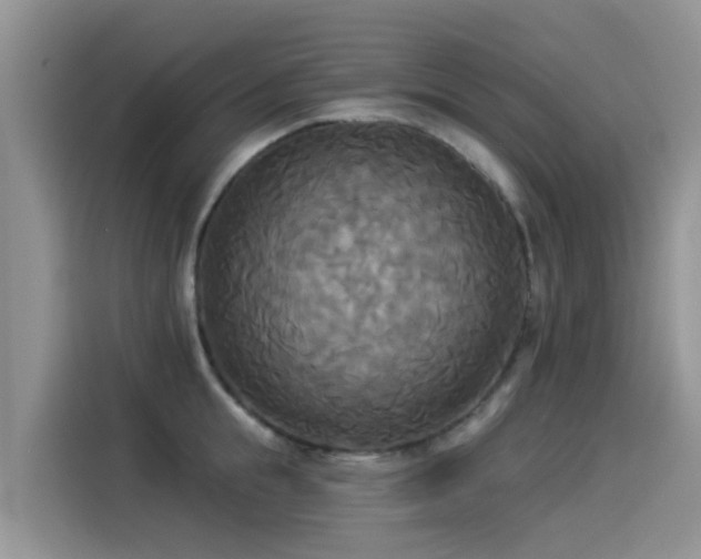 X0000114550855200910191410