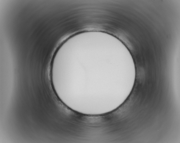 X0000114550856200910191410