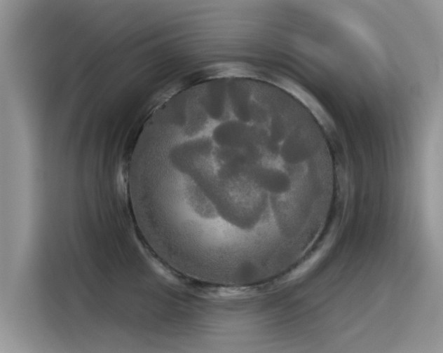 X0000114550857200910191410