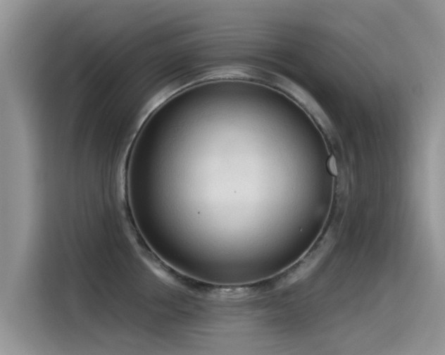 X0000114550858200910191410
