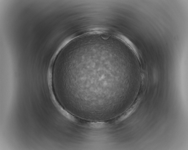 X0000114550859200910191410