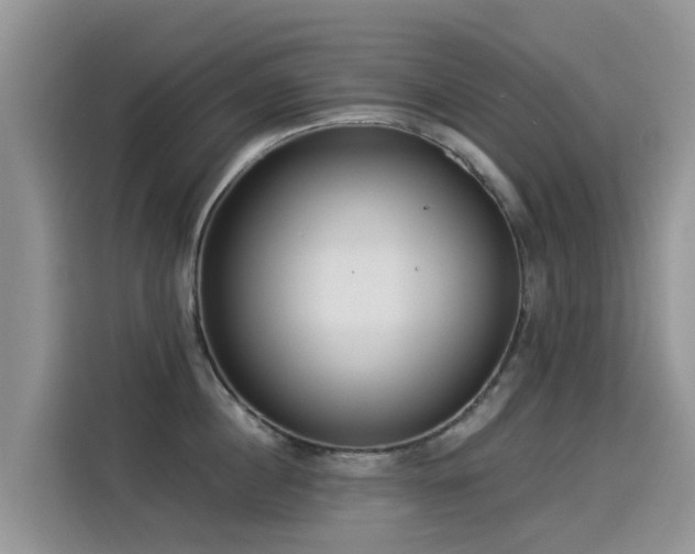 X0000114550860200910191410