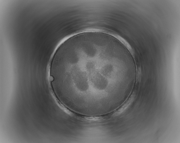 X0000114550862200910191410