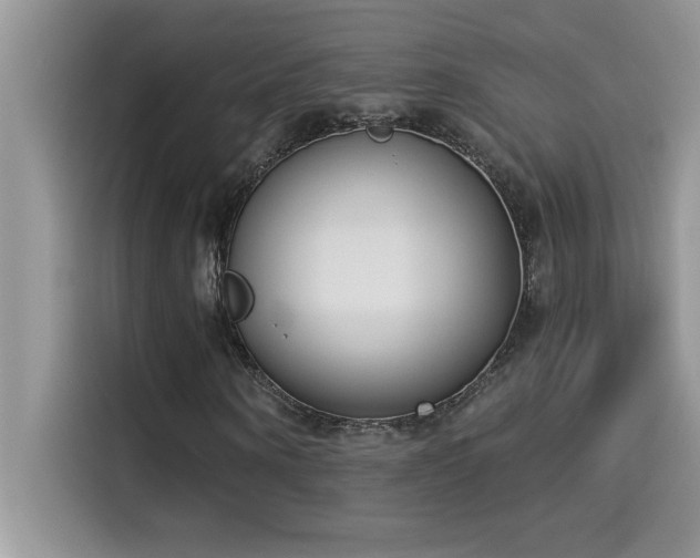 X0000114550866200910191409
