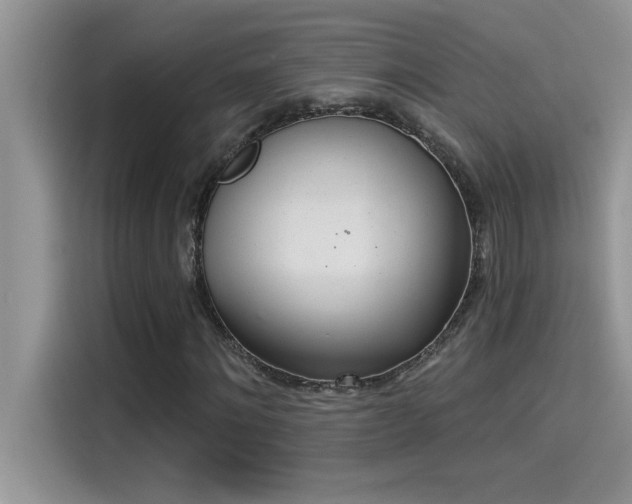 X0000114550868200910191409