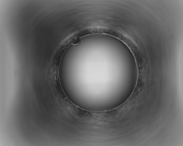 X0000114550870200910191409