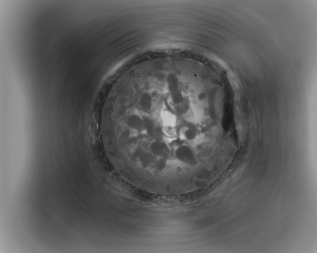 X0000114550871200910191409